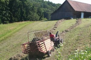 Heu Juni 2016 (17)